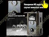 Охранная камера Филин НС-550А с записью фотографий и видео - невидимая ИК подсветка